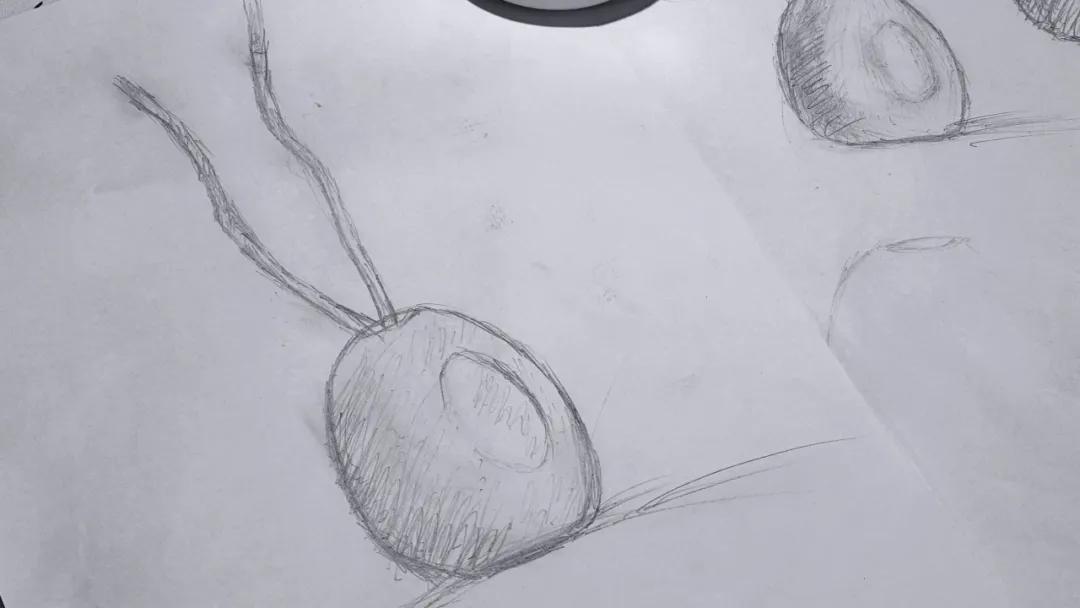 1756449070363927.jpg 640 (8)(1).jpg